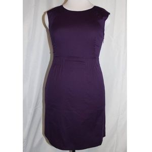 Plum Theory Shyann Dress with Pockets!
